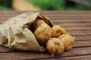 长春土豆最新爆料,揭秘种植奇迹与市场新动向