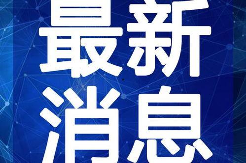 最新老鼠爆料新闻视频下载,一窥娱乐圈幕后真相